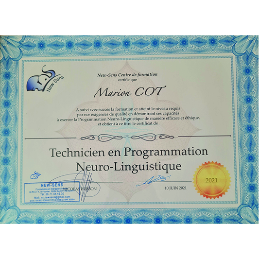 Programmation Neurolinguistique